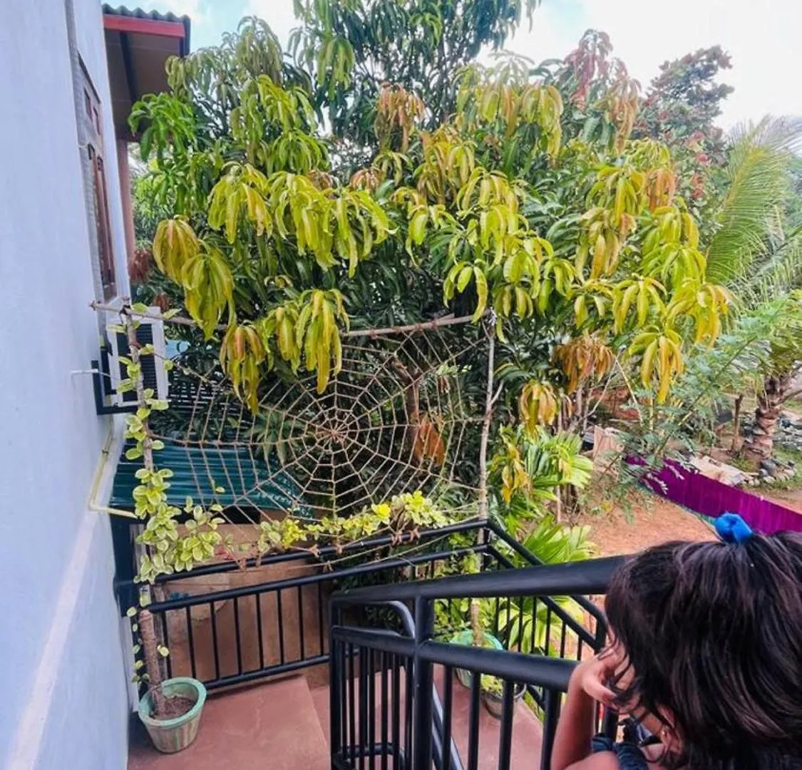 Dew Ashi Homestay Sigiriya Sri Lanka