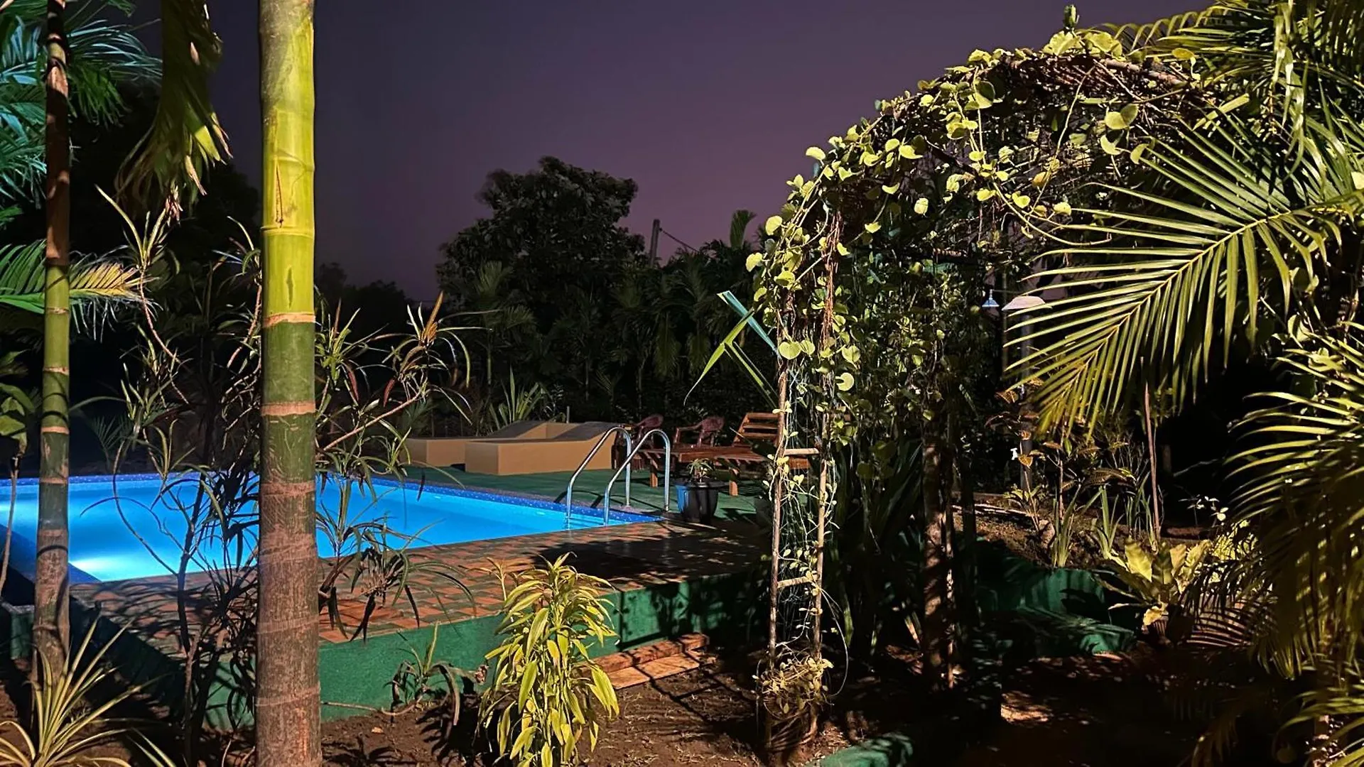 Dew Ashi Homestay Sigiriya Sri Lanka
