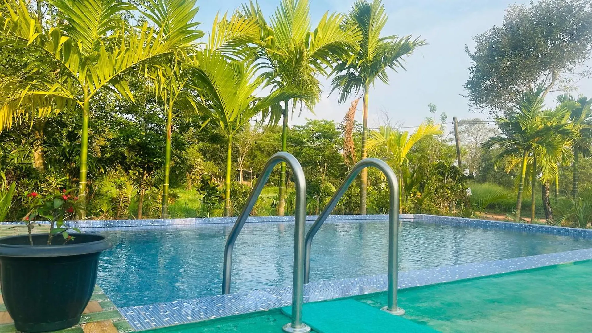 Dew Ashi Homestay Sigiriya