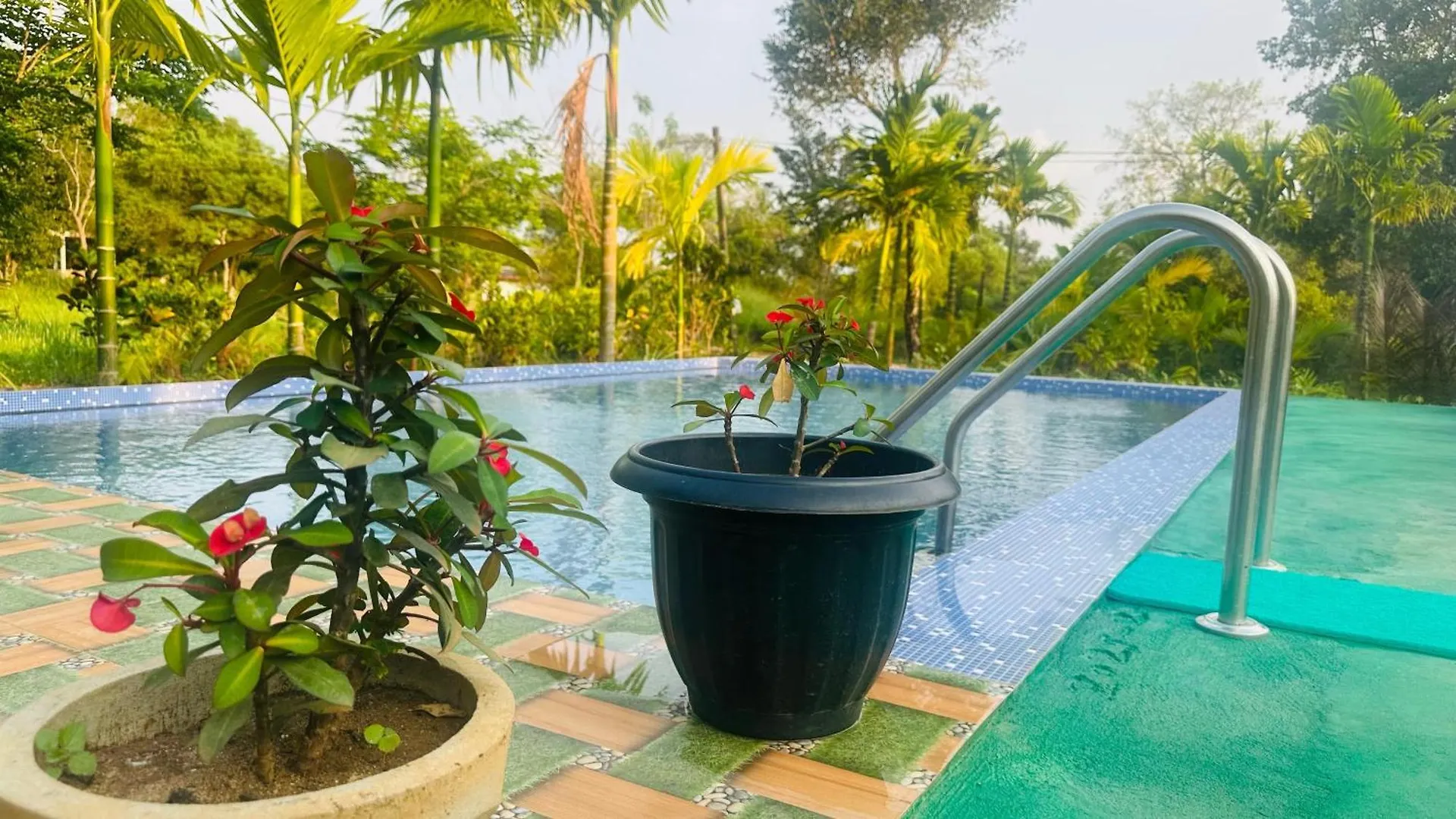 Dew Ashi Homestay Sigiriya 0*,